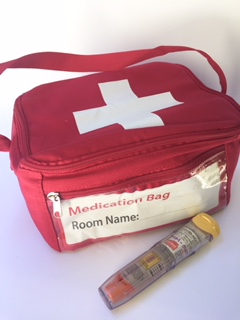 Large Medical bag for EpiPens and asthma medication